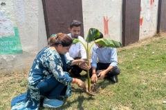 Environment Day